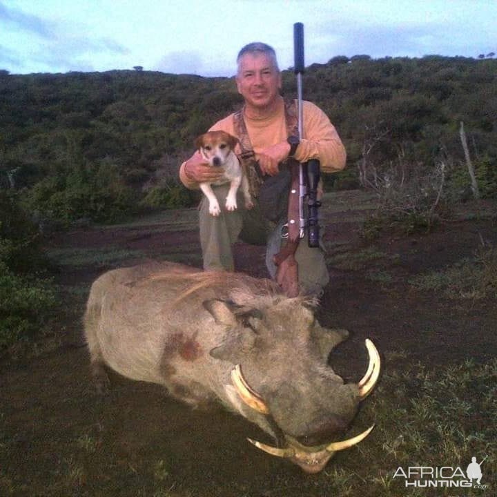 South Africa Hunt Warthog