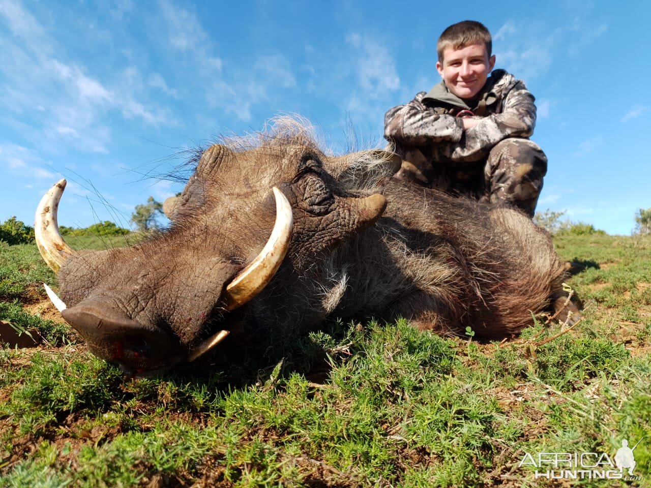 South Africa Hunt Warthog