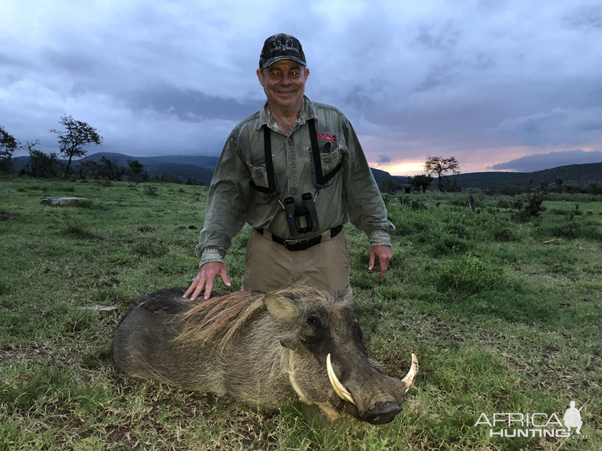 South Africa Hunt Warthog