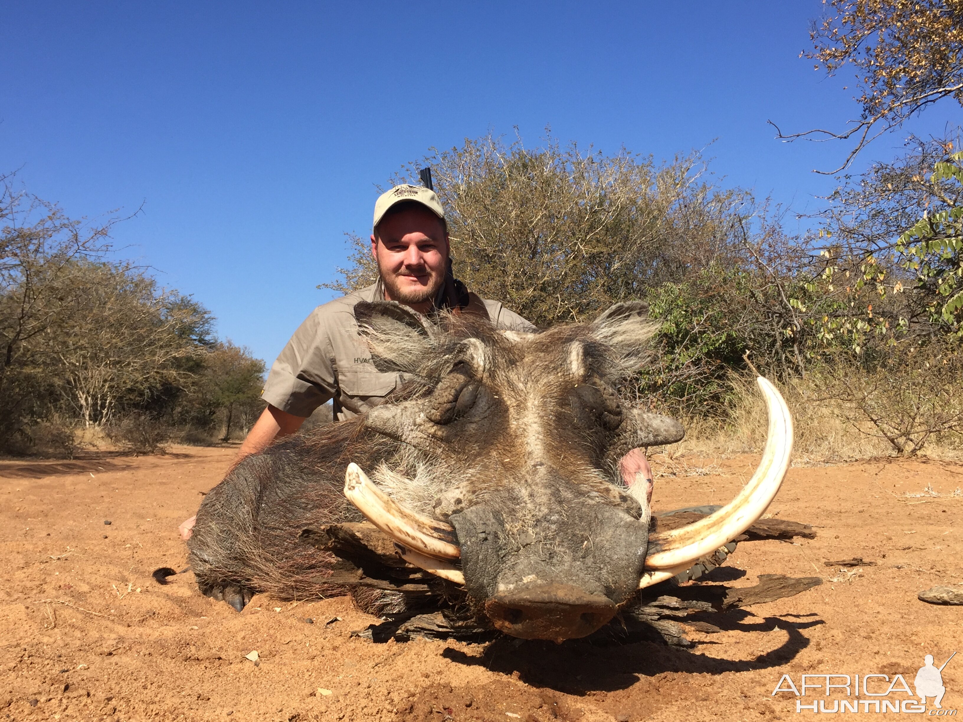 South Africa Hunt Warthog