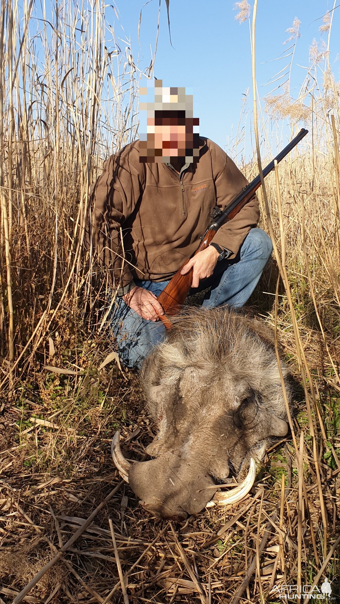 South Africa Hunt Warthog