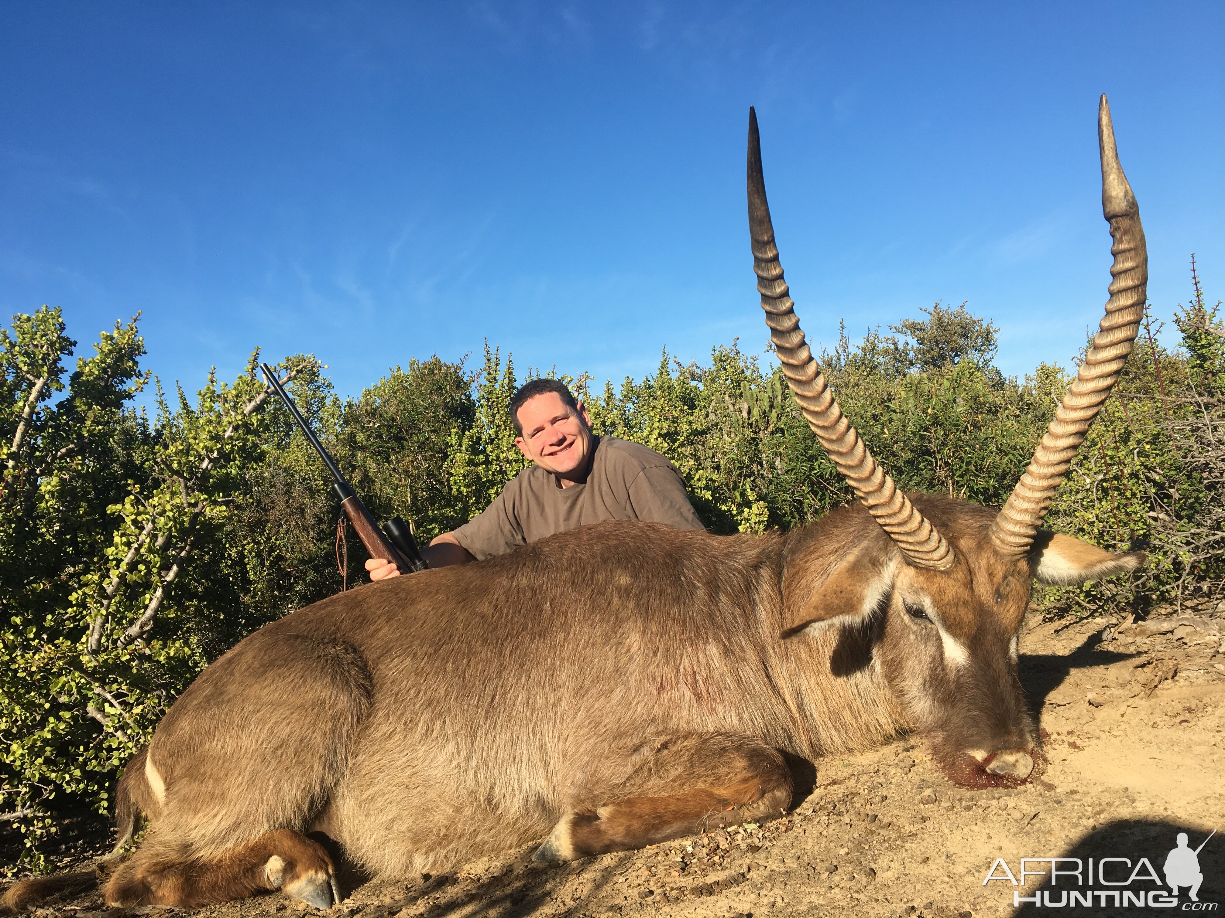 South Africa Hunt Waterbuck