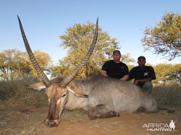 South Africa Hunt Waterbuck