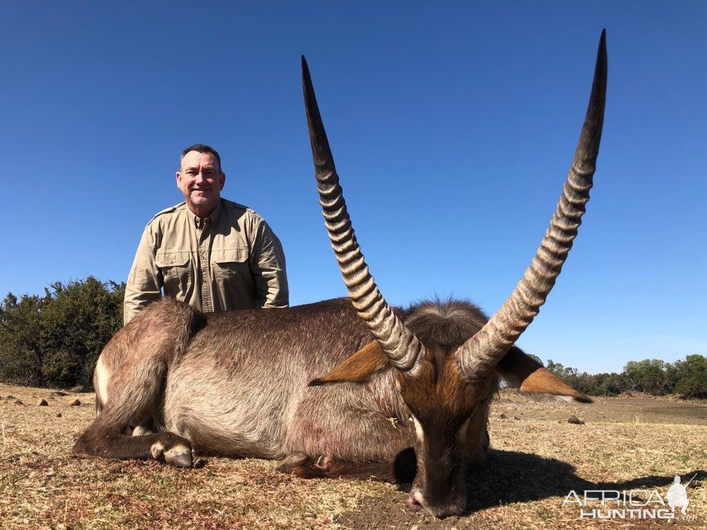 South Africa Hunt Waterbuck