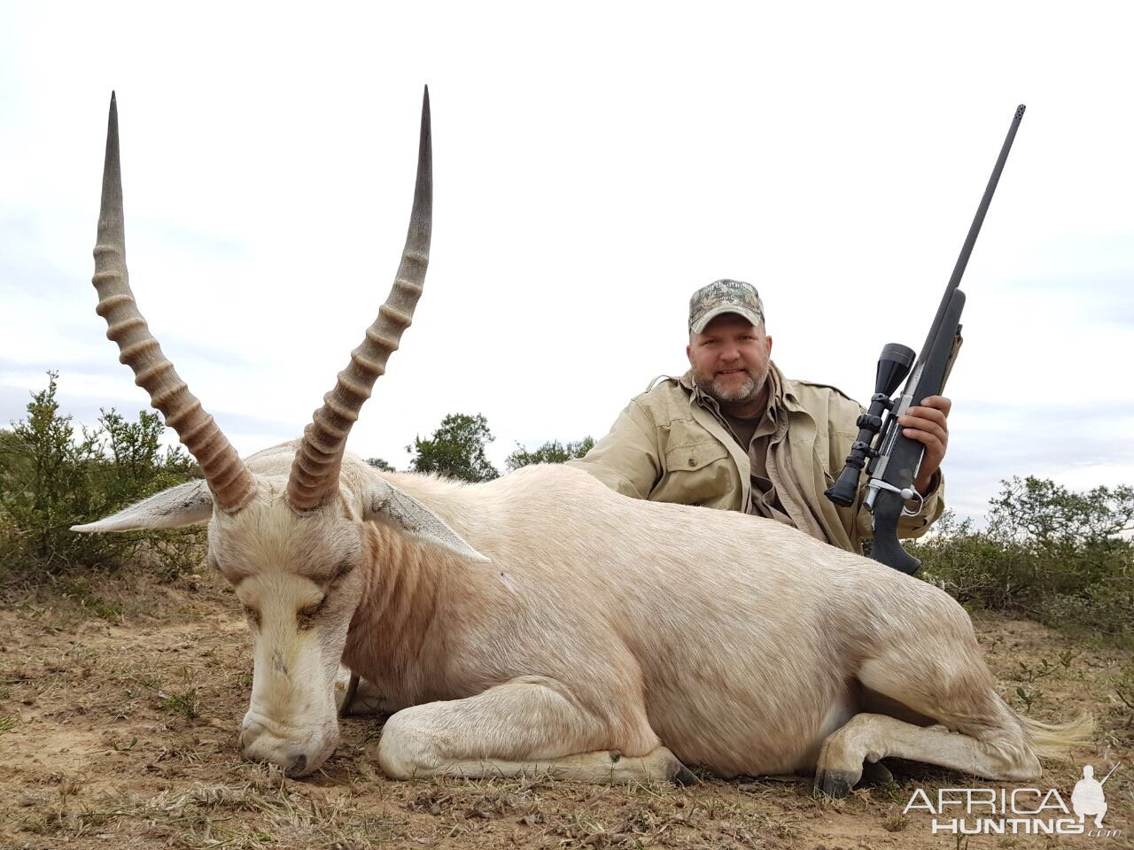 South Africa Hunt White Blesbok