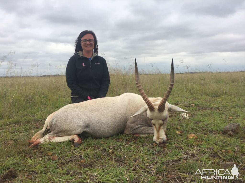 South Africa Hunt White Blesbok