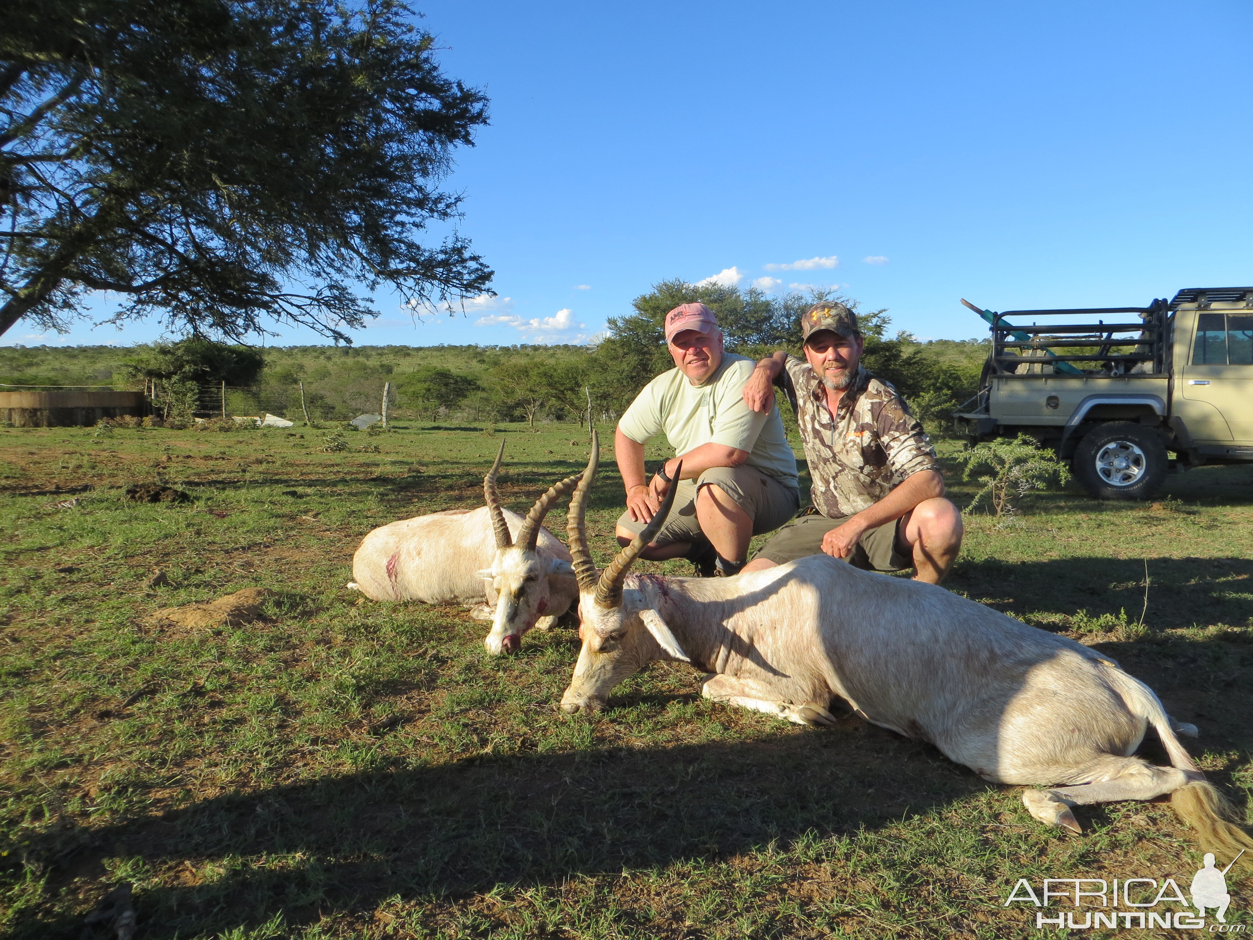 South Africa Hunt White Blesbok