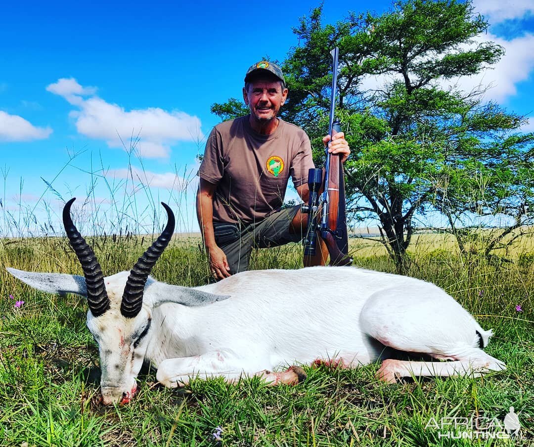 South Africa Hunt White Springbok