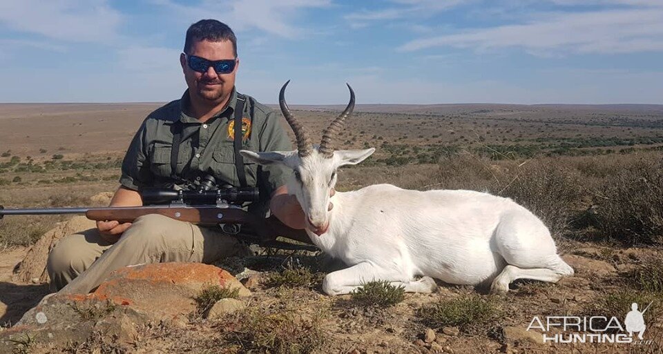 South Africa Hunt White Springbok