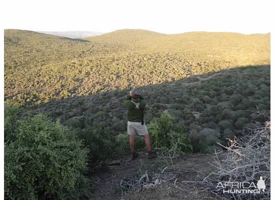 South Africa Hunt