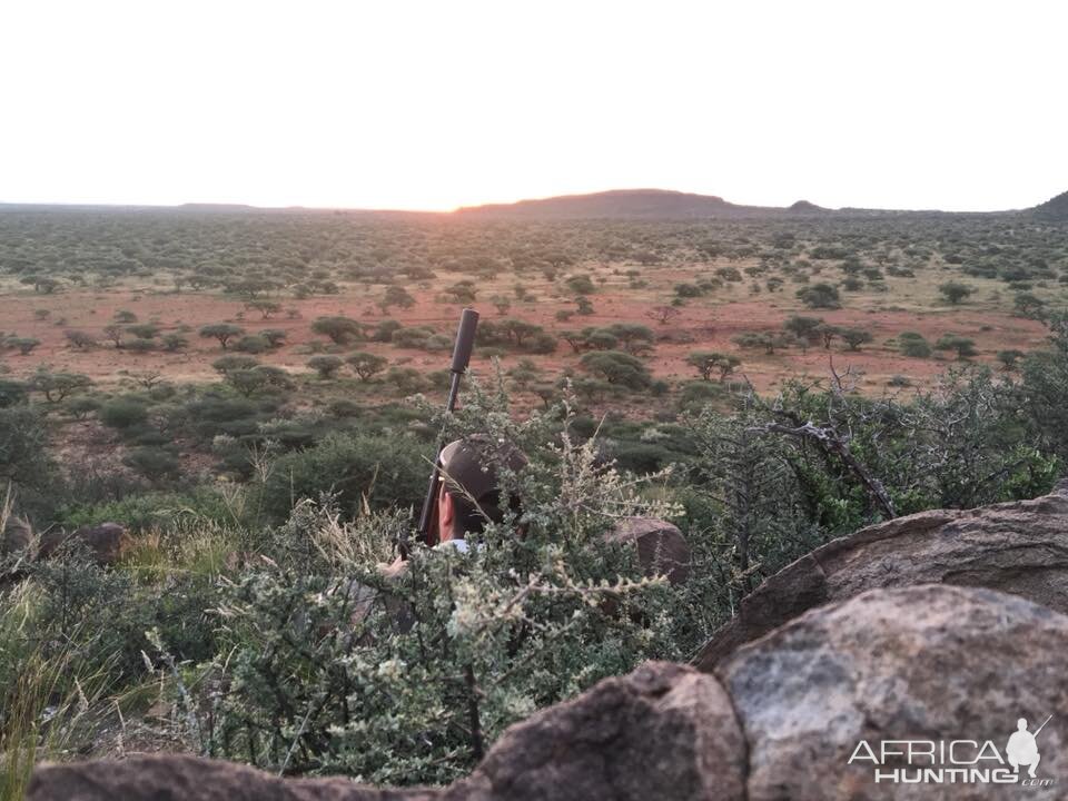 South Africa Hunt