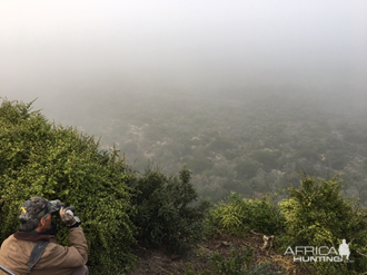 South Africa Hunt