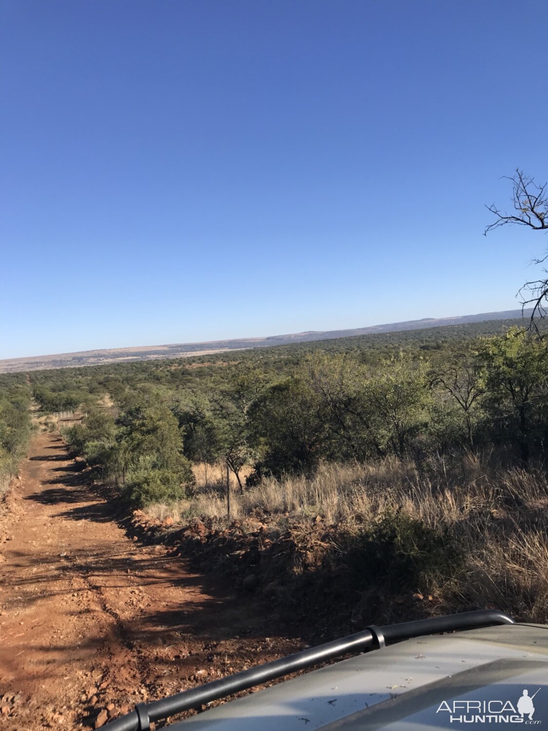 South Africa Hunt