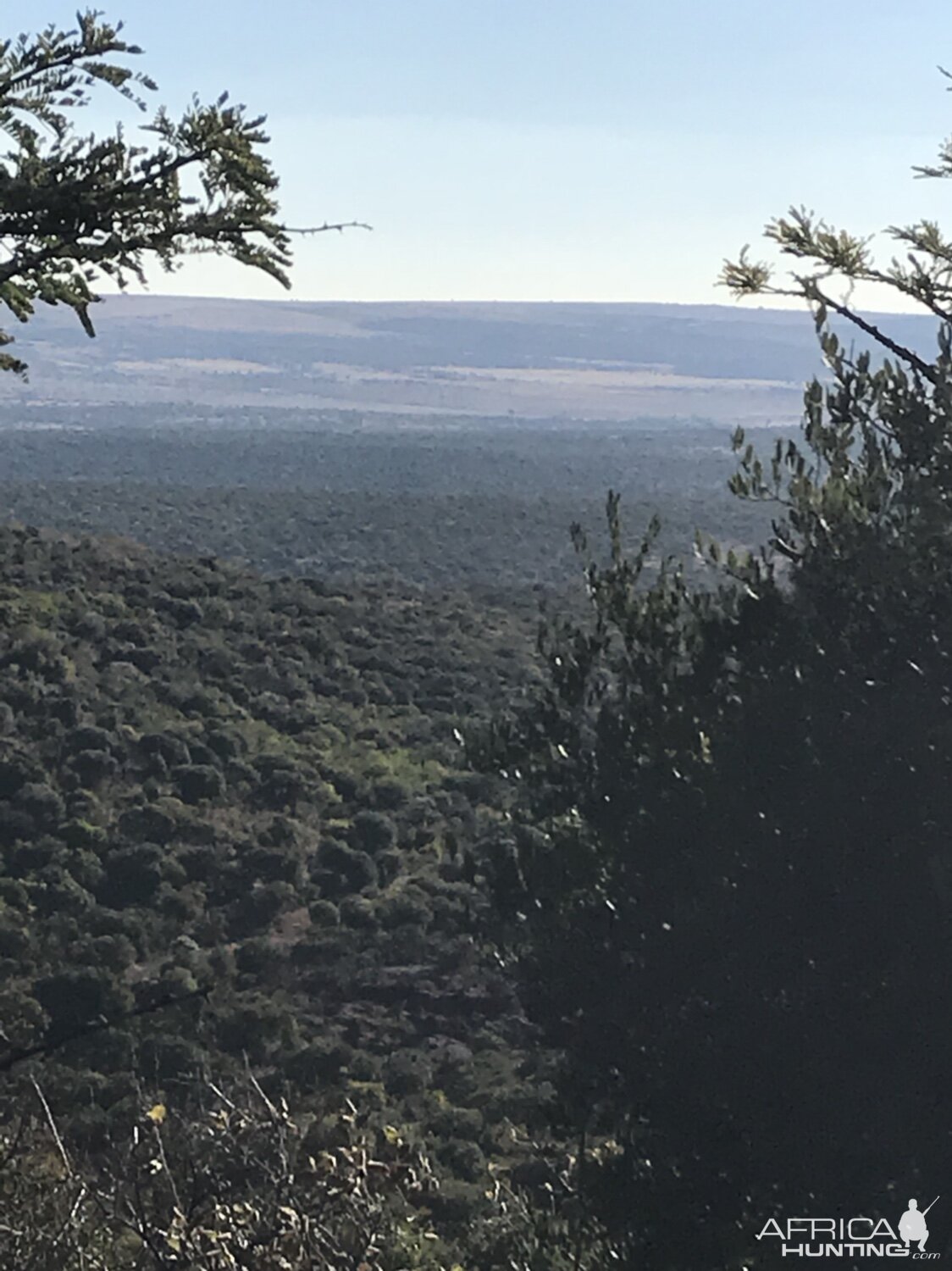 South Africa Hunt