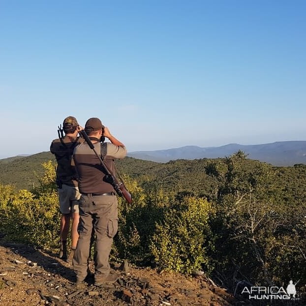 South Africa Hunt