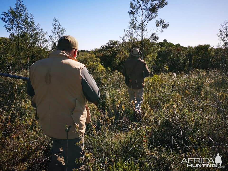 South Africa Hunt