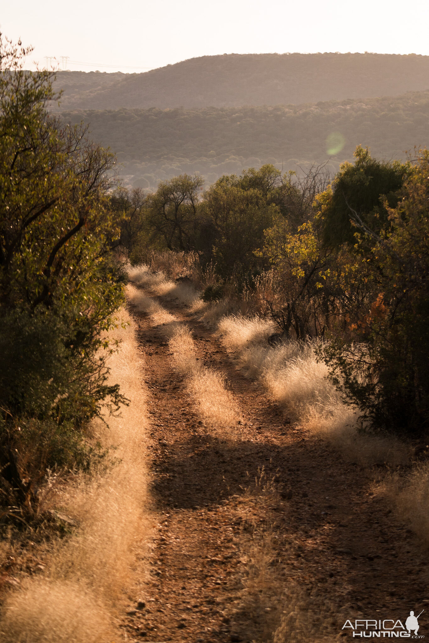 South Africa Hunt