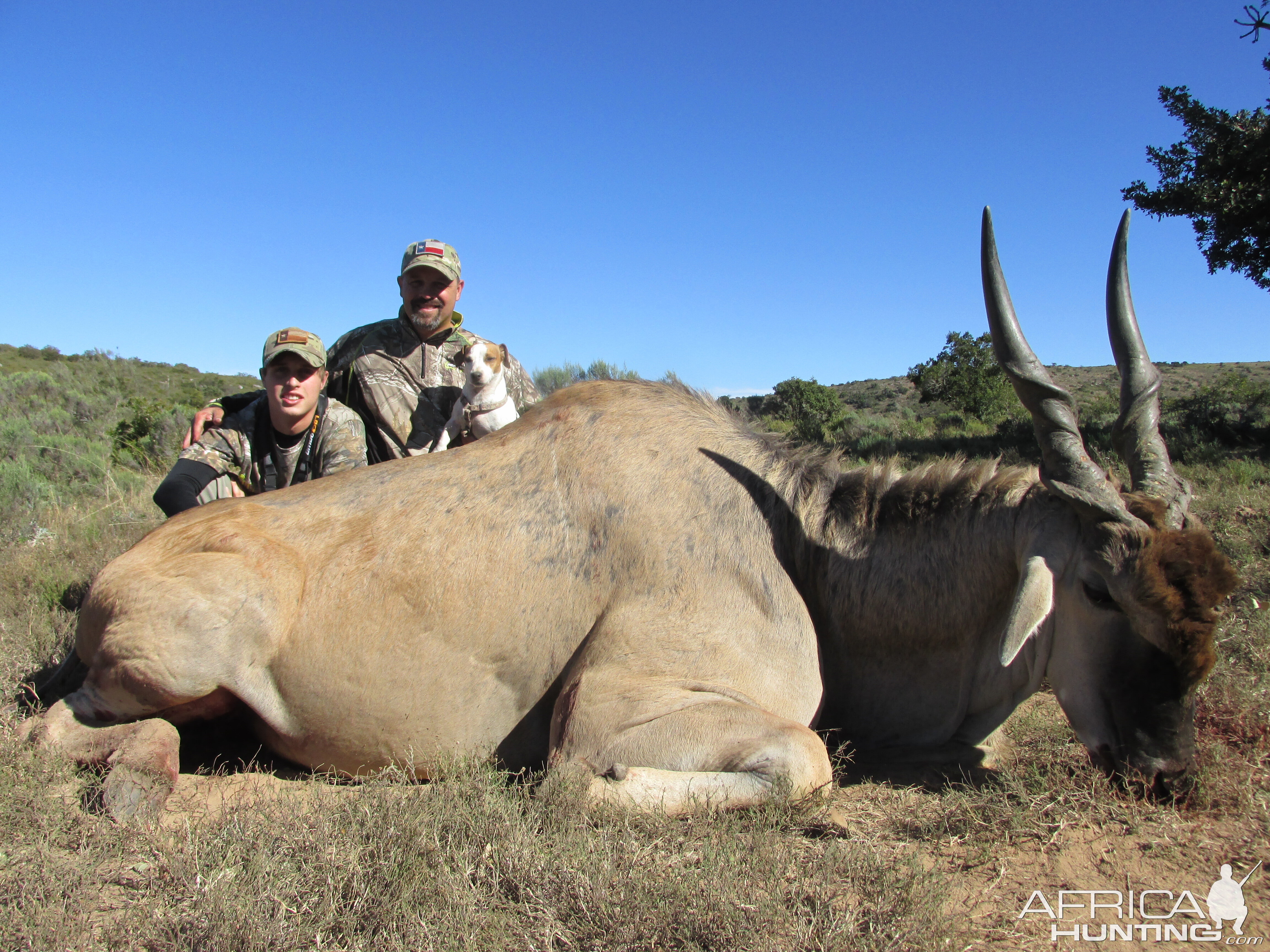 South Africa Hunting 35 Inch Eland