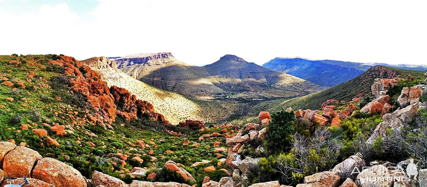 South Africa Hunting Area