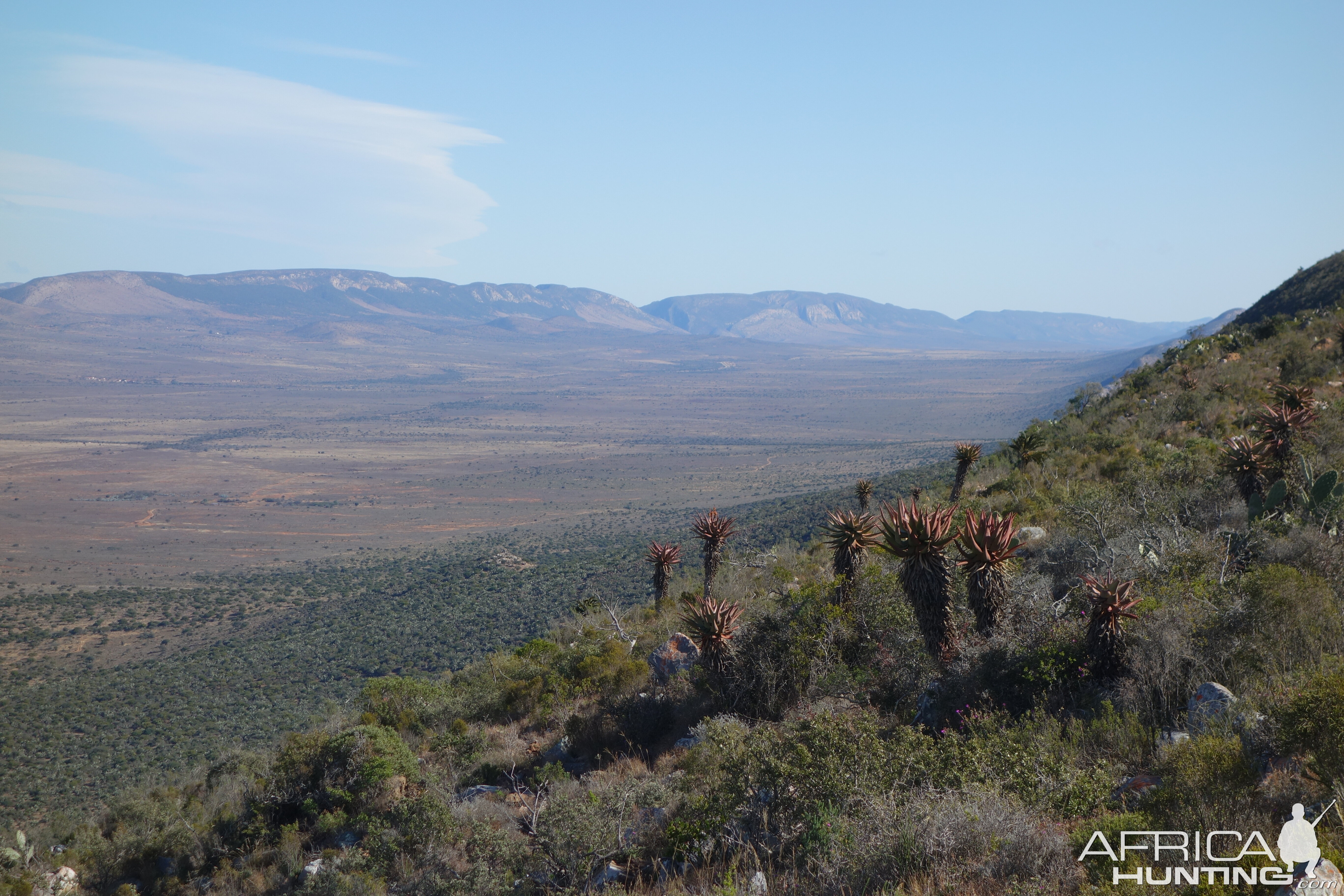 South Africa Hunting Area