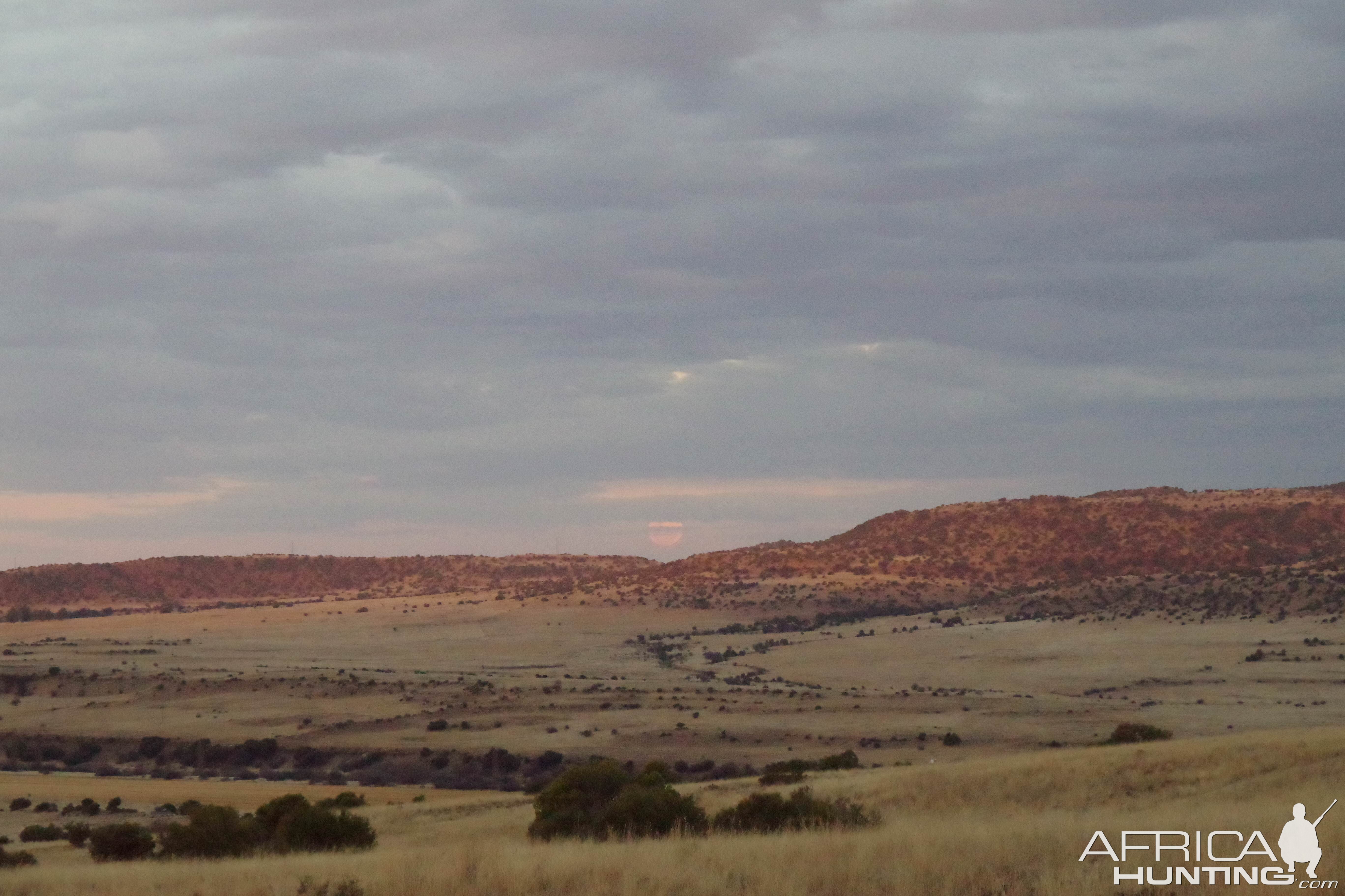 South Africa Hunting Area