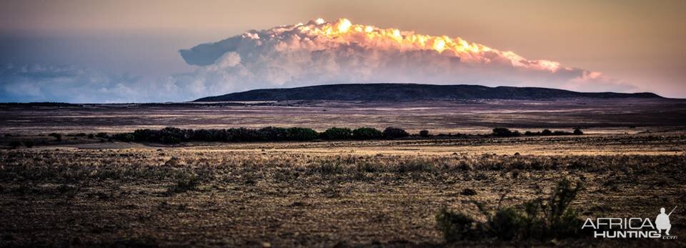 South Africa Hunting Area