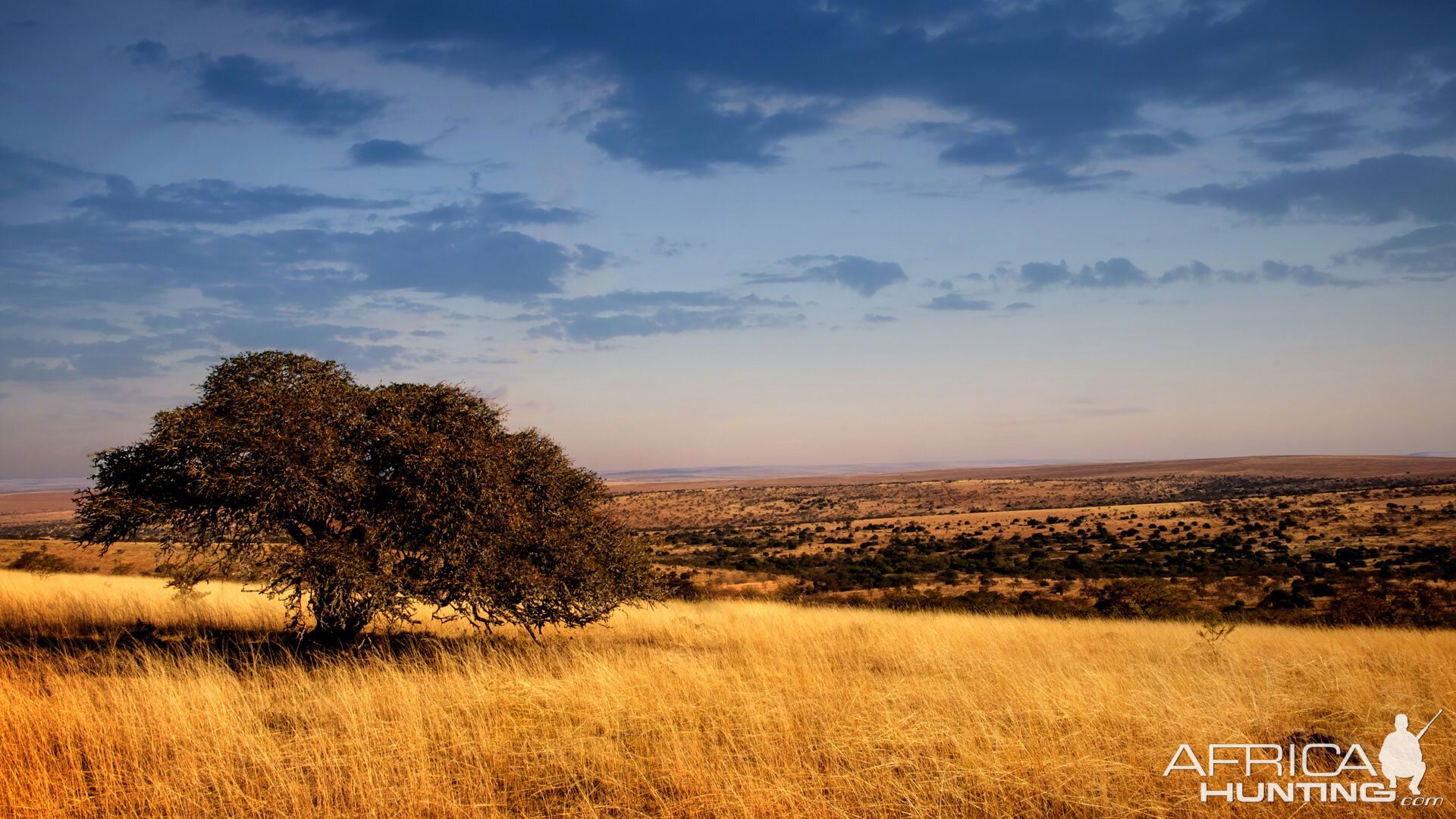 South Africa Hunting Area