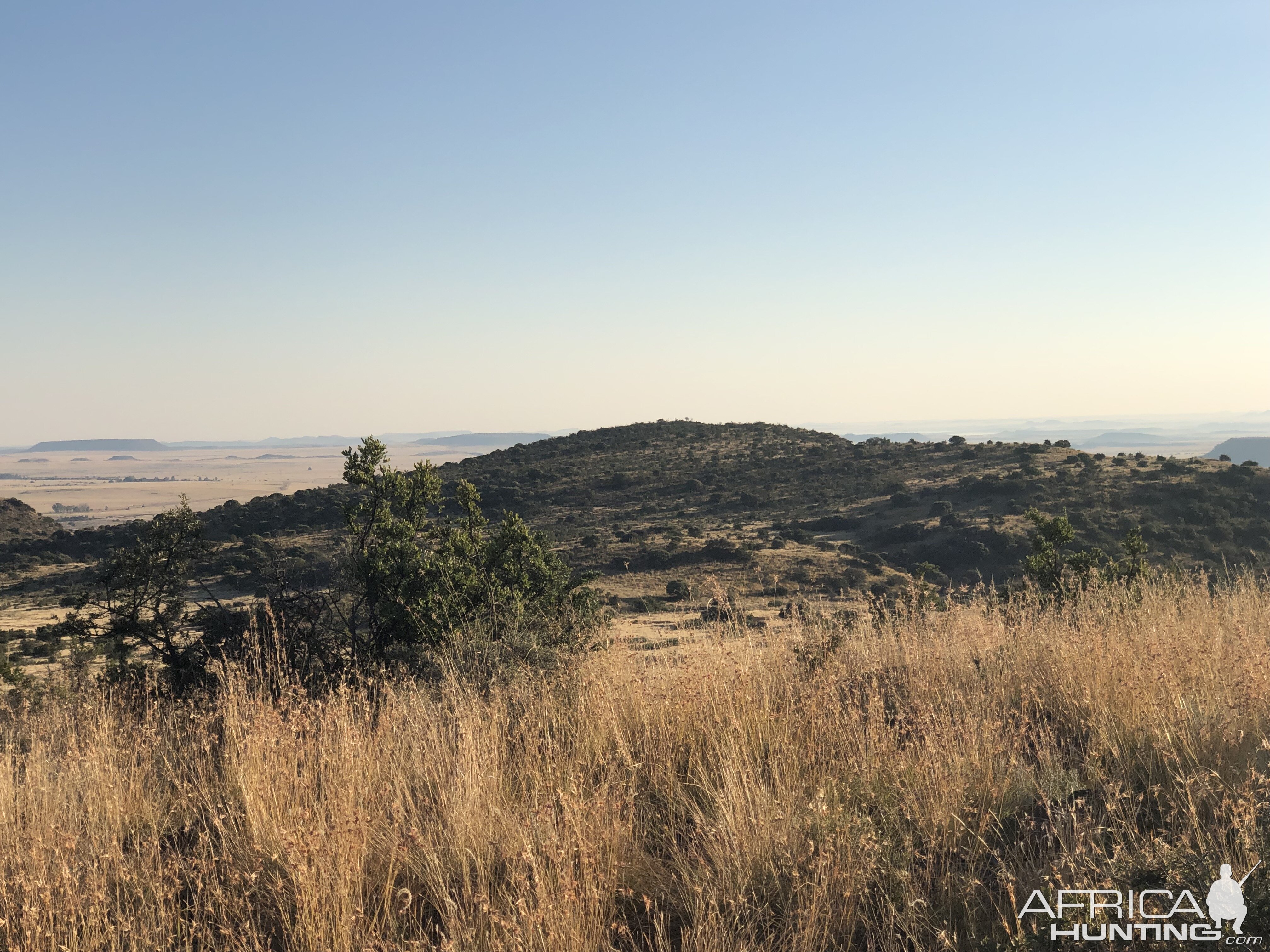 South Africa Hunting Area