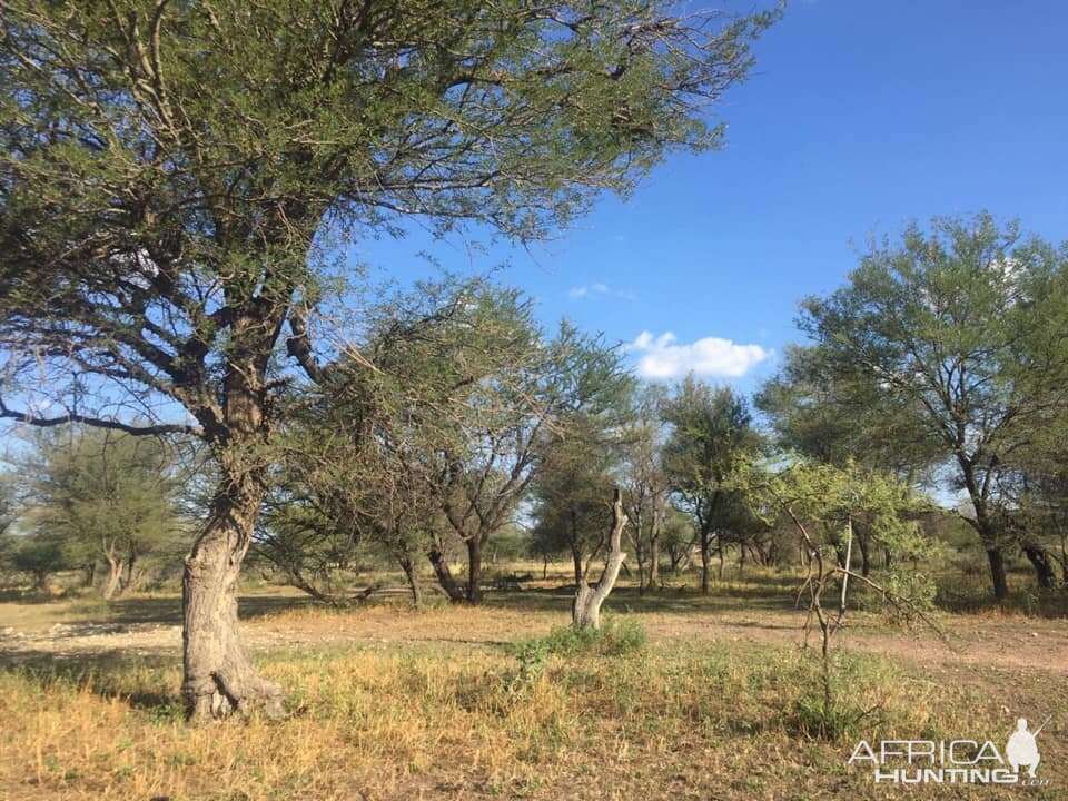 South Africa Hunting Area