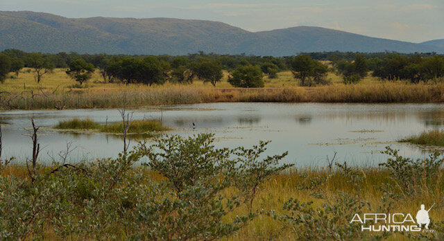 South Africa Hunting Area