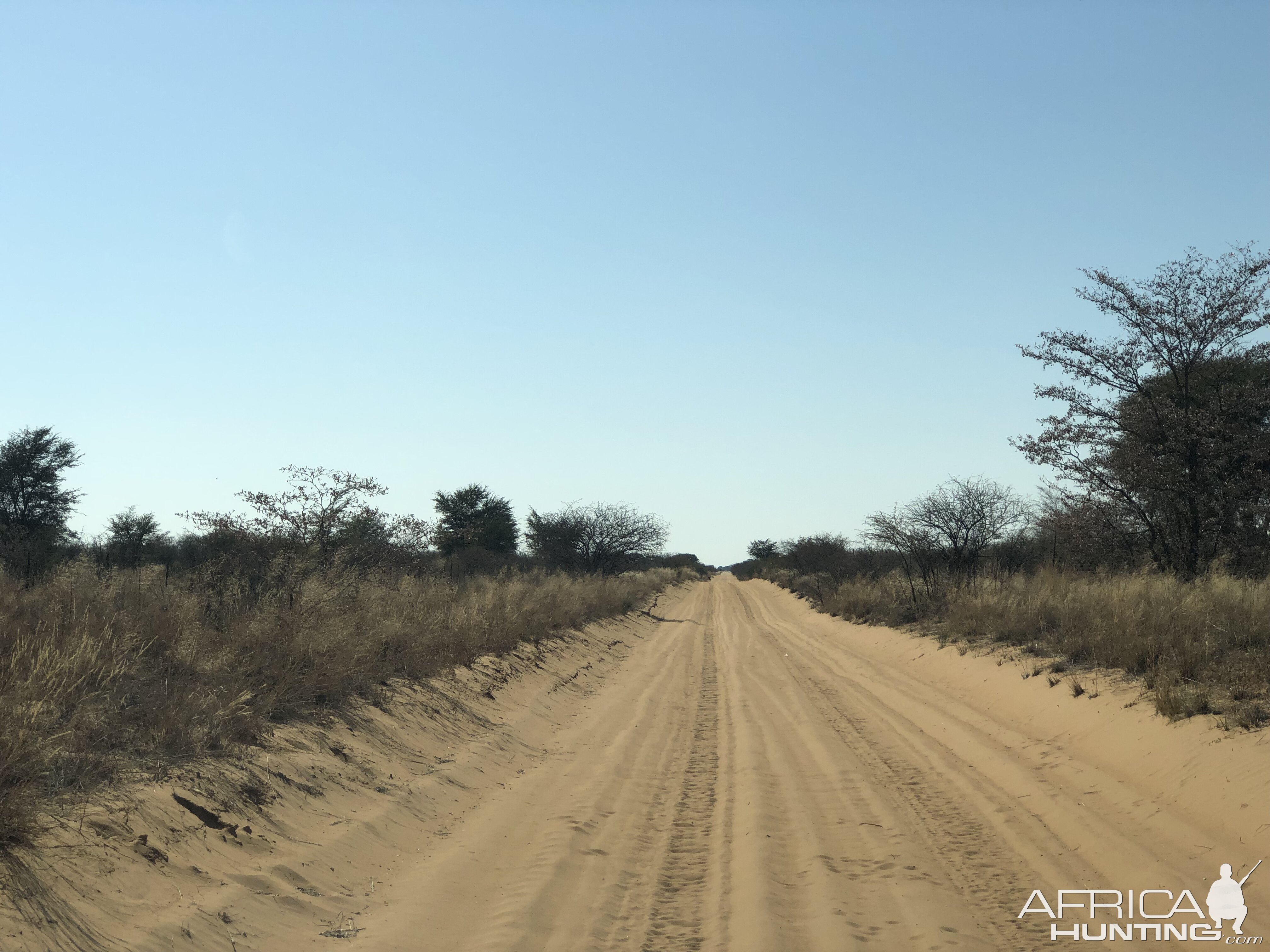 South Africa Hunting Area