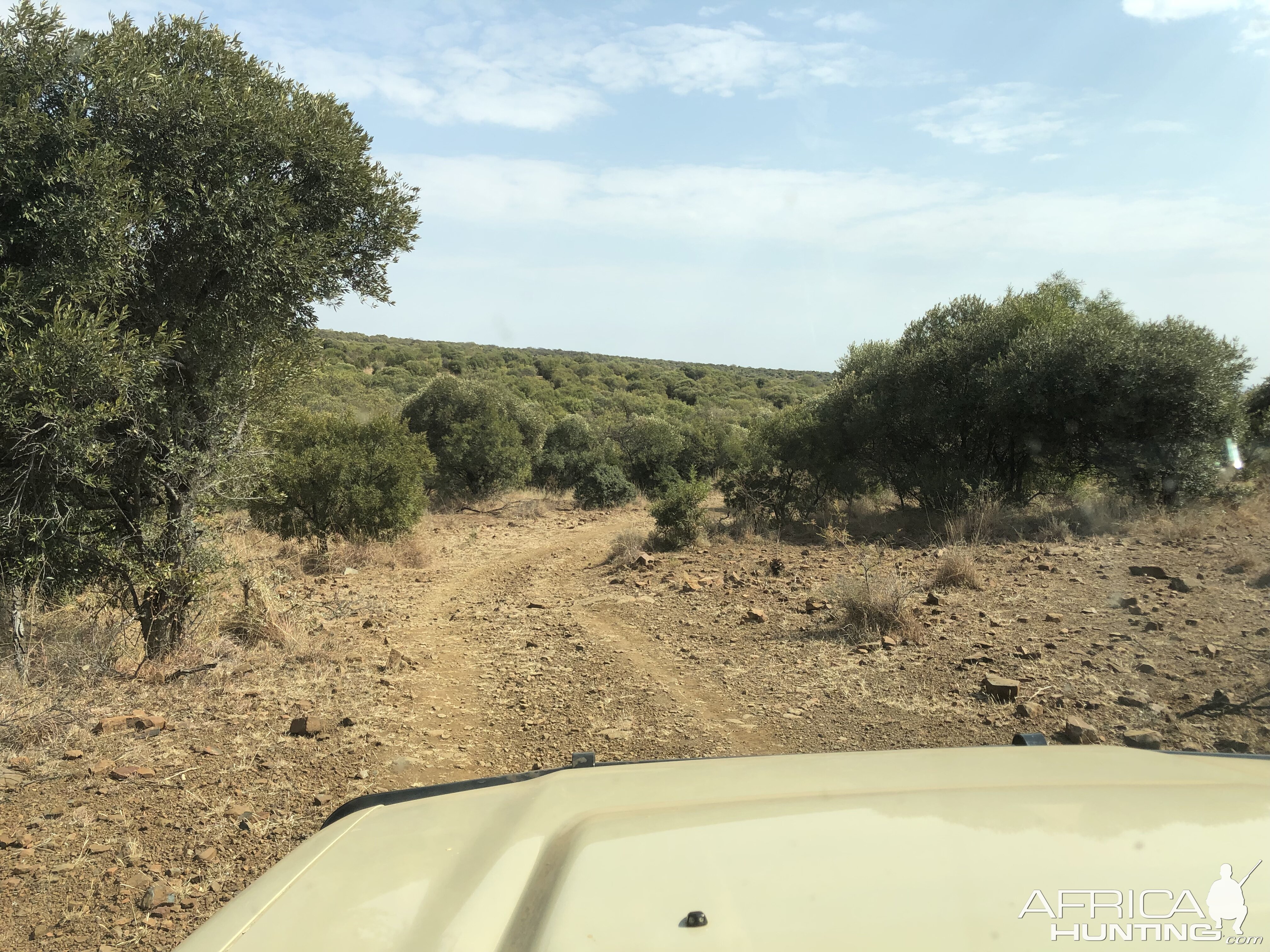 South Africa Hunting Area