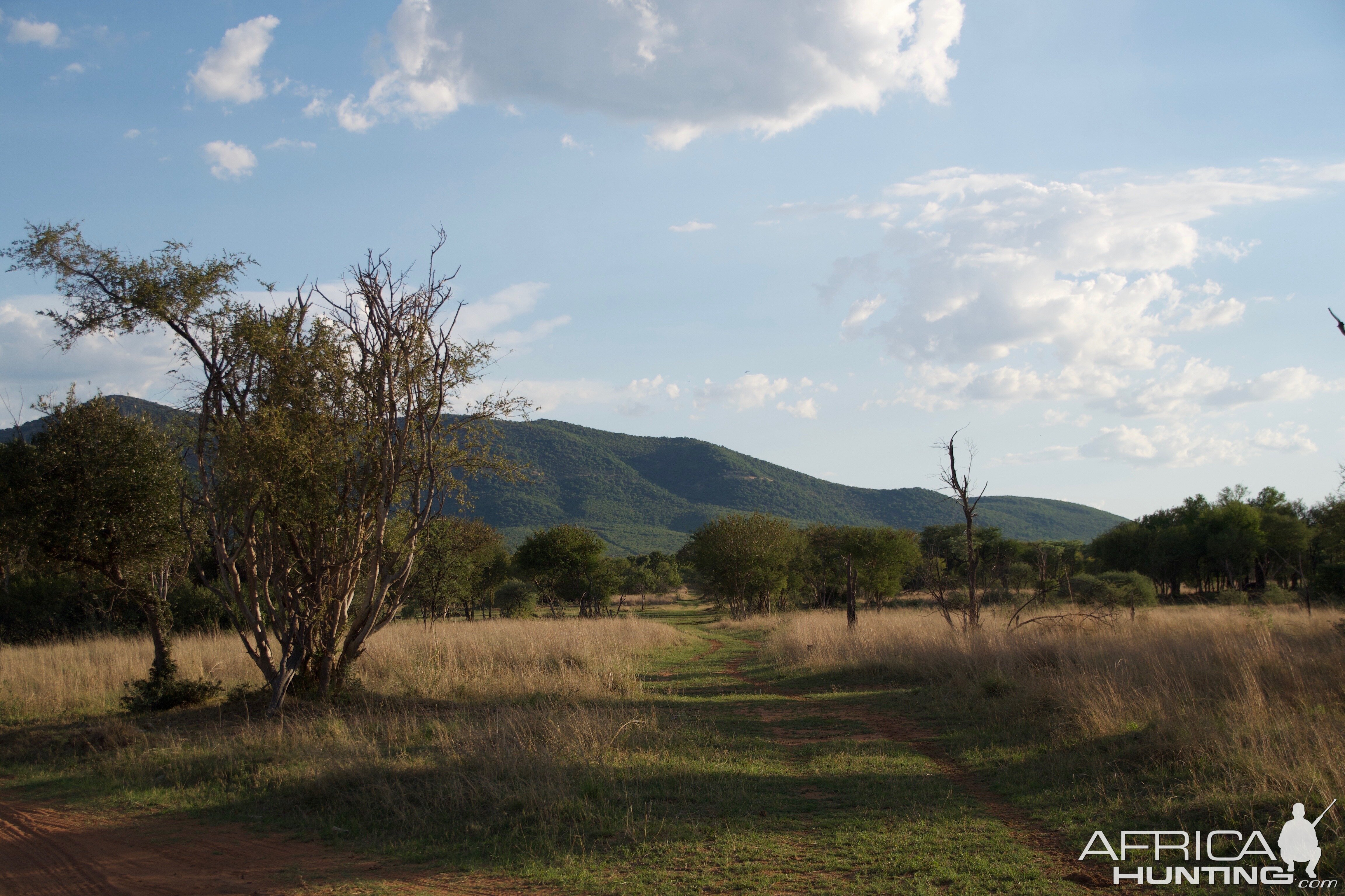 South Africa Hunting Area