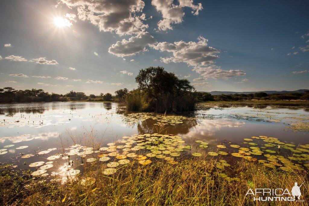 South Africa Hunting Area