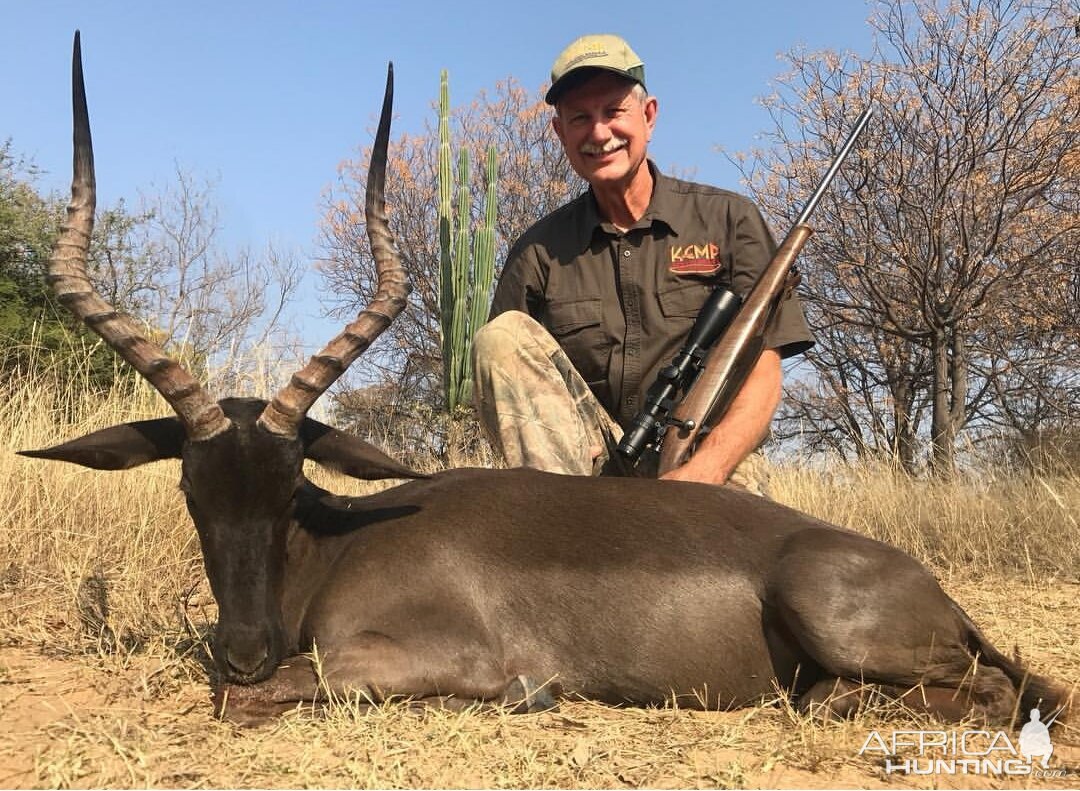 South Africa Hunting Black Impala