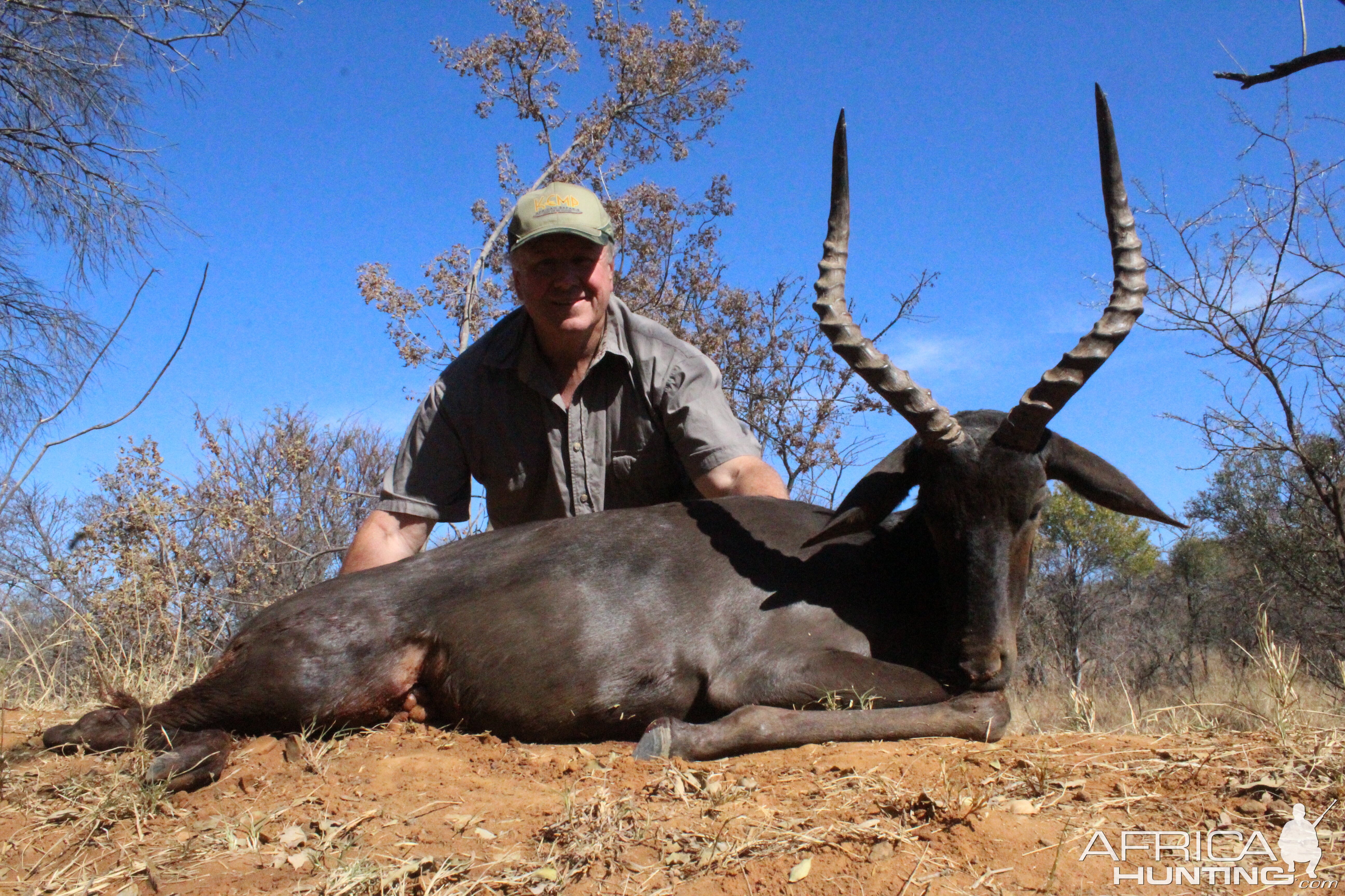 South Africa Hunting Black Impala