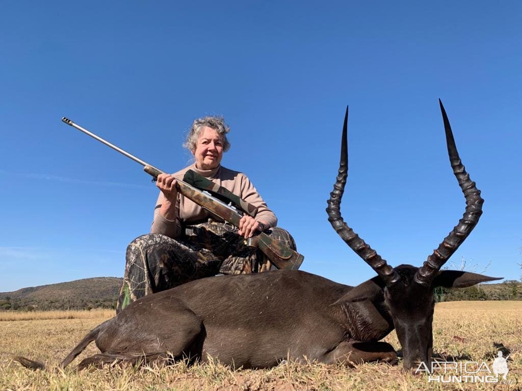 South Africa Hunting Black Impala