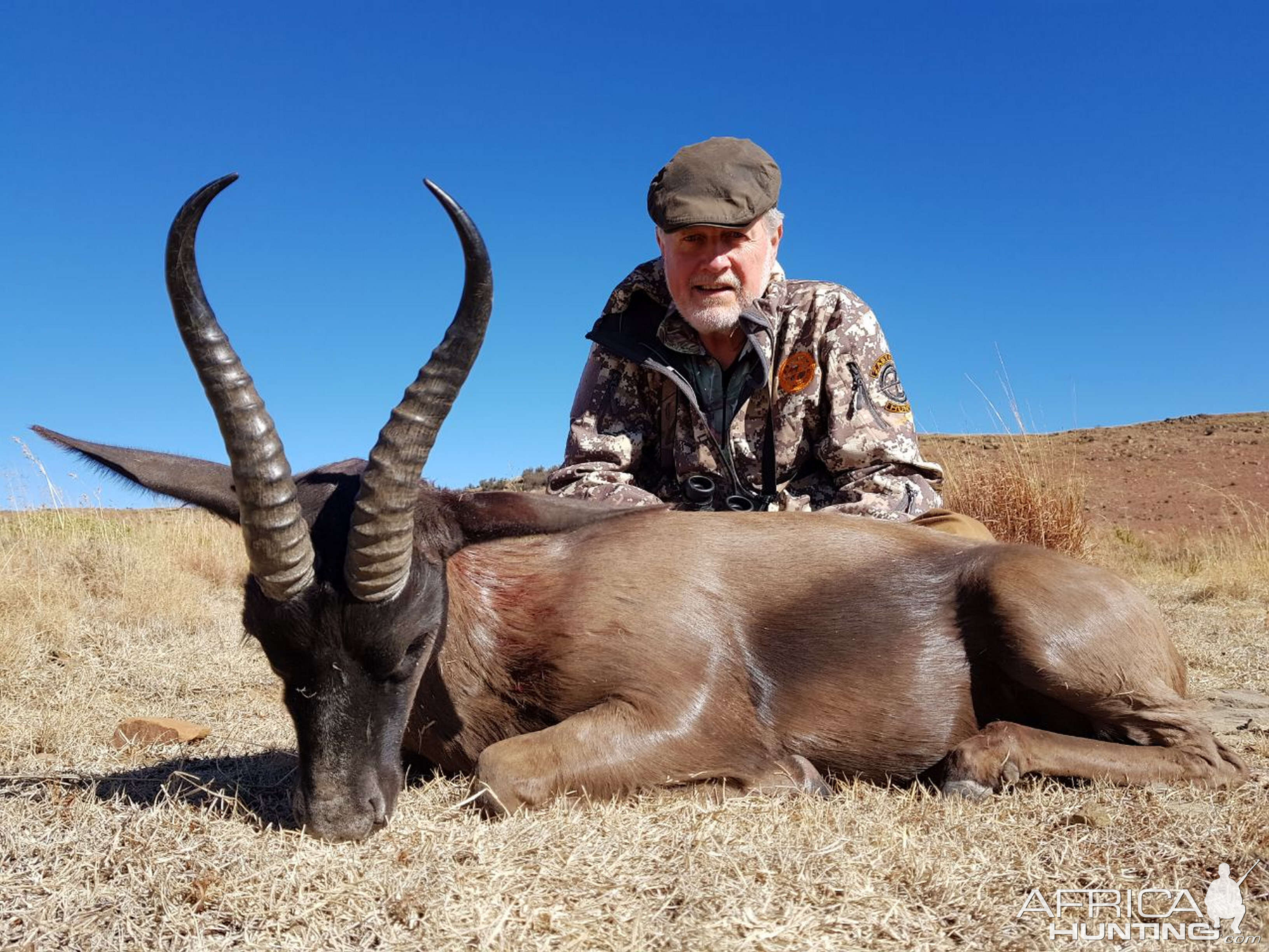 South Africa Hunting Black Springbok