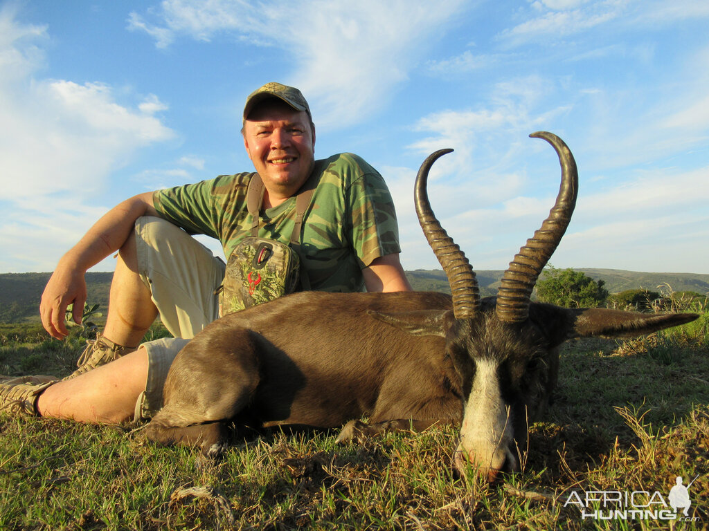 South Africa Hunting Black Springbok