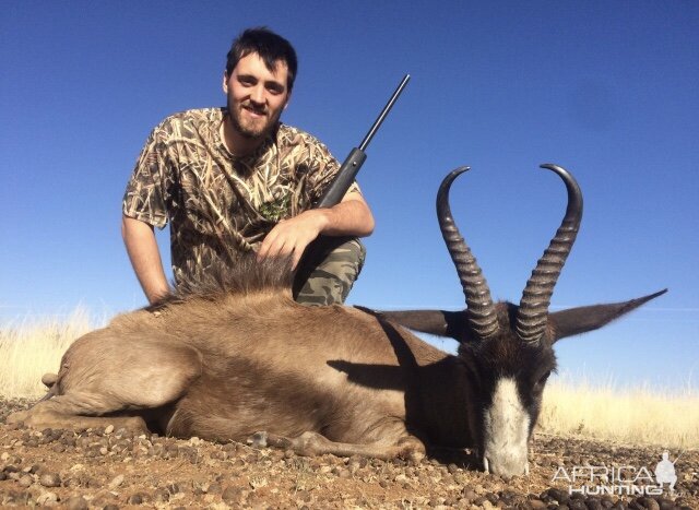 South Africa Hunting Black Springbok