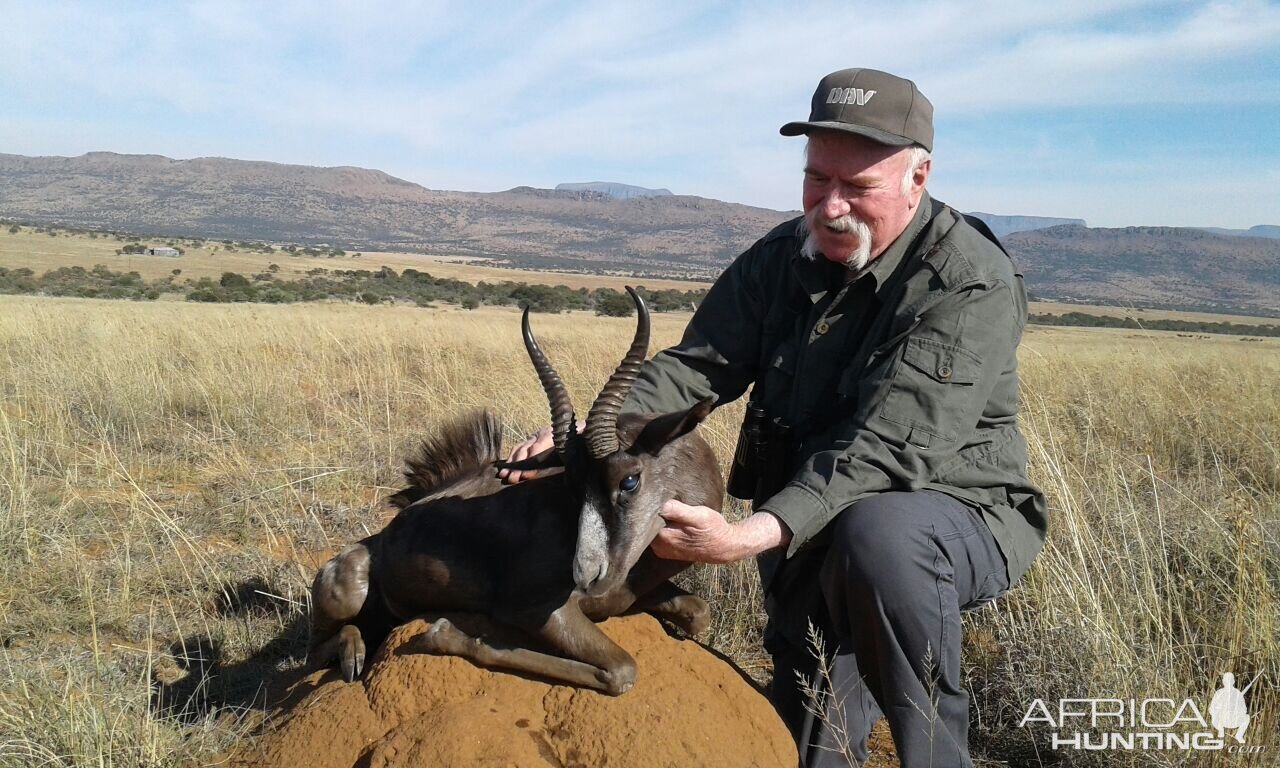 South Africa Hunting Black Springbok