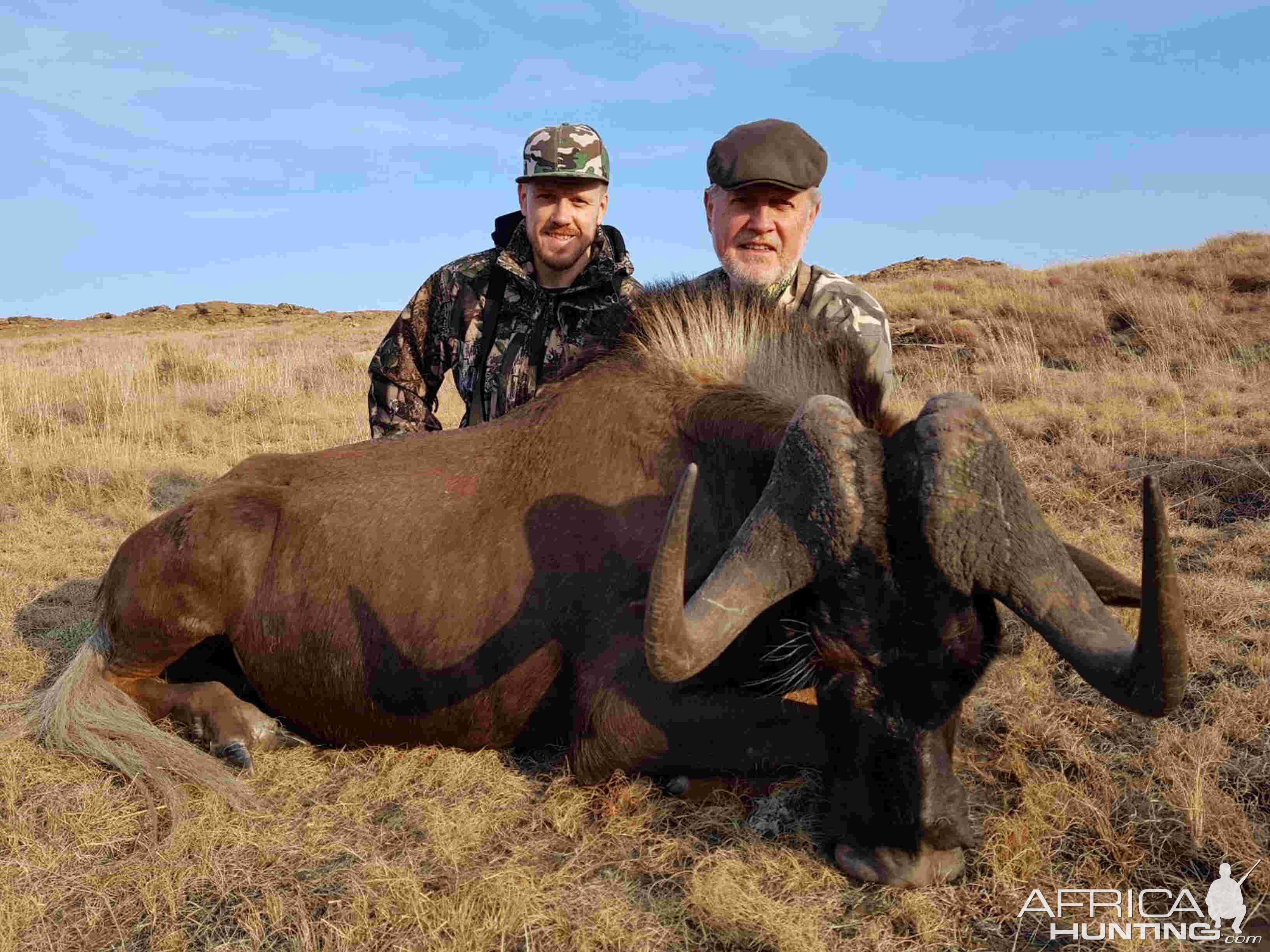 South Africa Hunting Black Wildebeest