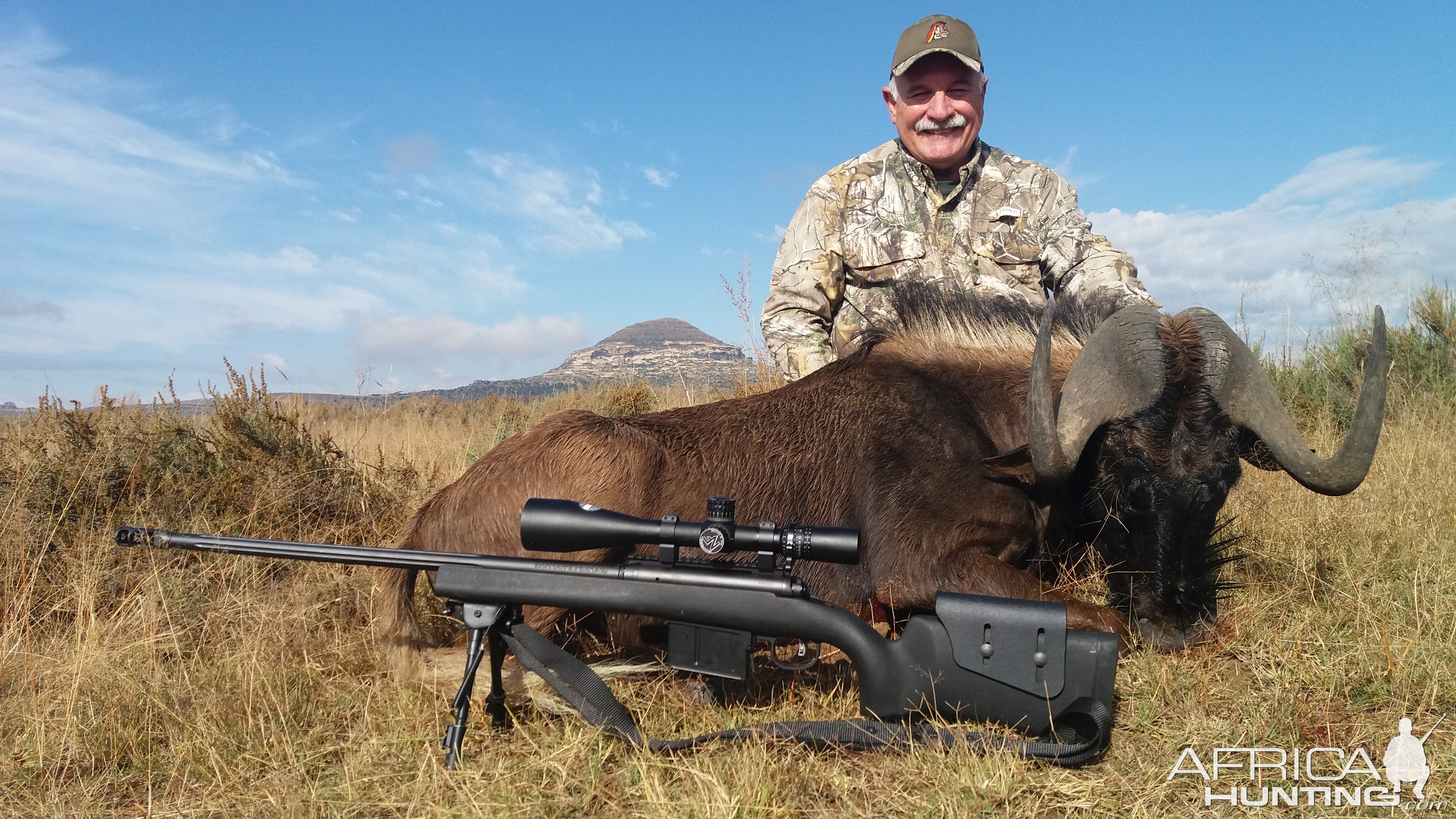 South Africa Hunting Black WIldebeest