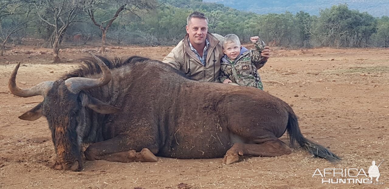 South Africa Hunting Black Wildebeest