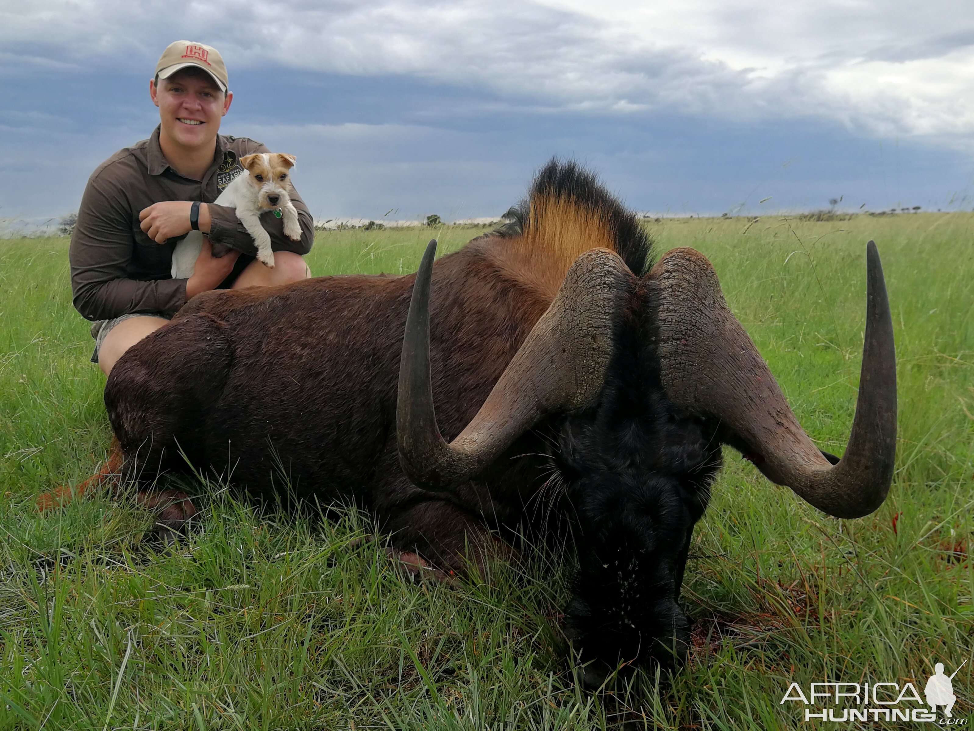 South Africa Hunting Black Wildebeest