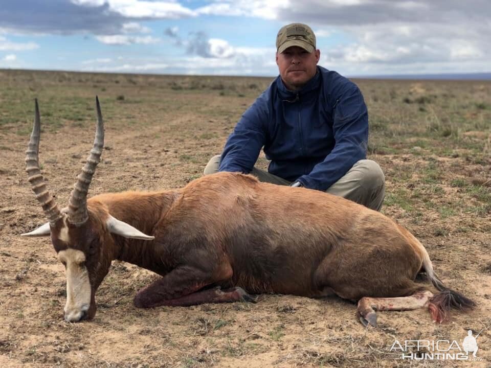 South Africa Hunting Blesbok