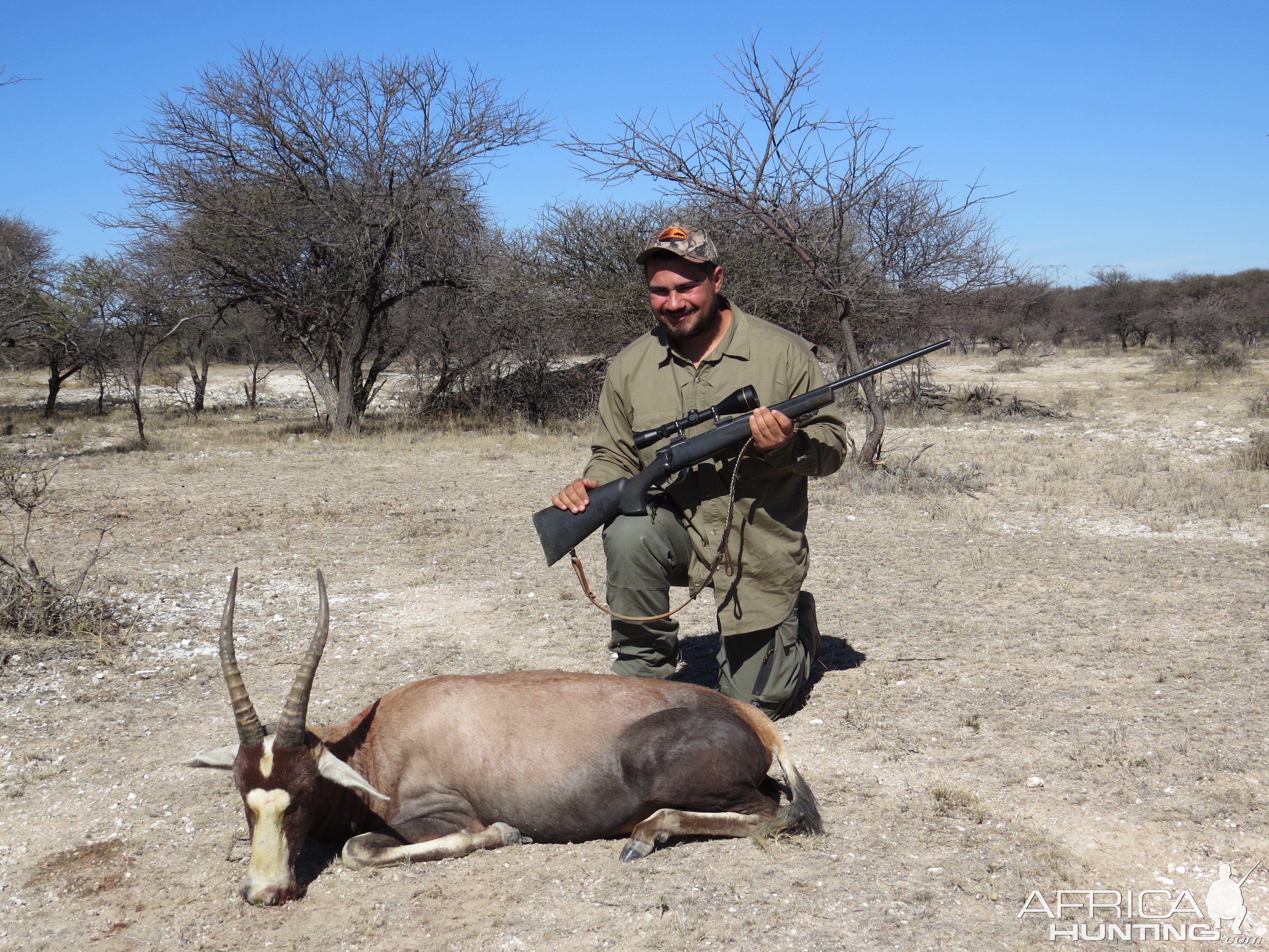 South Africa Hunting Blesbok