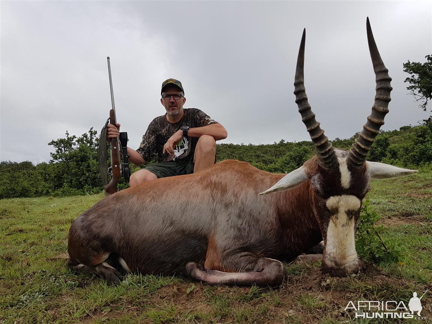 South Africa Hunting Blesbok