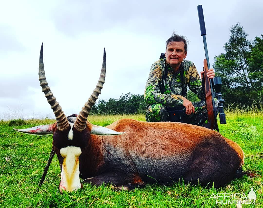 South Africa Hunting Blesbok