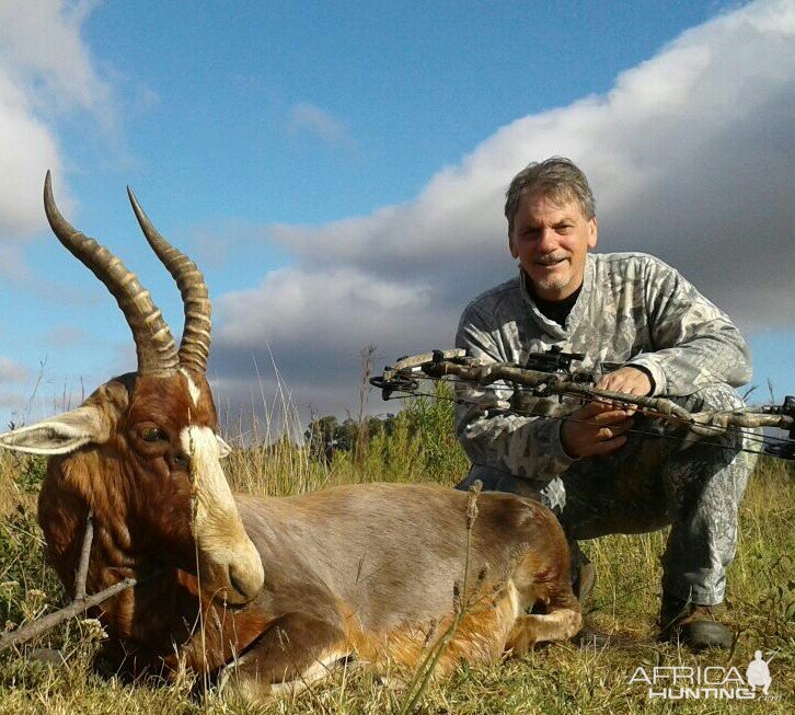 South Africa Hunting Blesbok